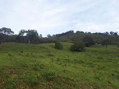 se vende finca en Tello .huila