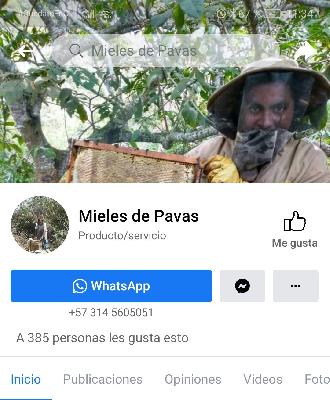 MIELES DE PAVAS 