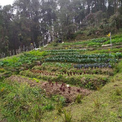 Recorridos agro eco turísticos Los Colores de mi Granja 