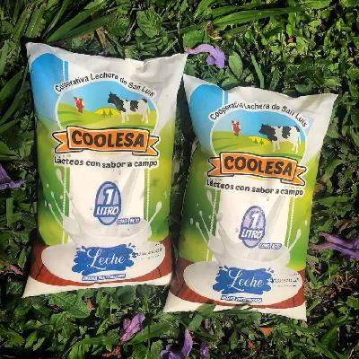 LECHE ENTERA X 1 LITRO